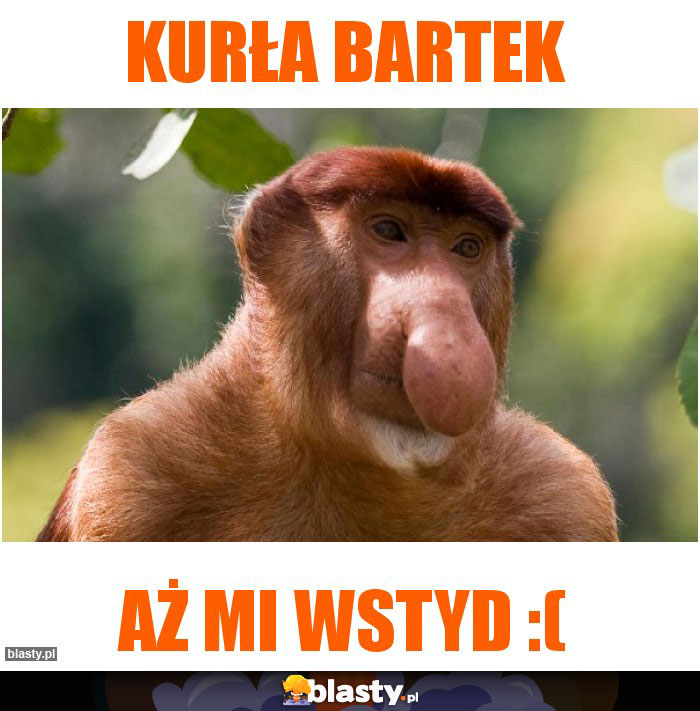 Kurła Bartek