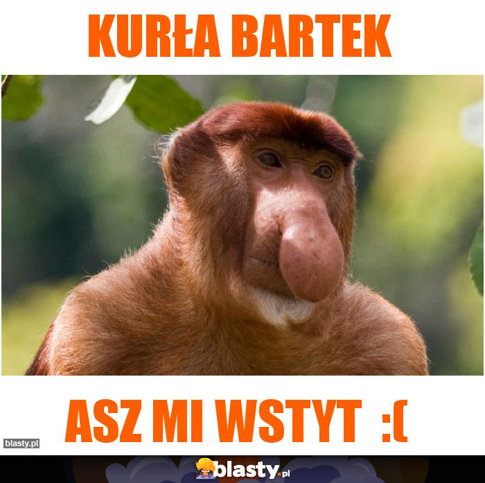 Kurła Bartek