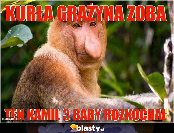 Kurła Grażyna zoba Kurła Grażyna zoba
