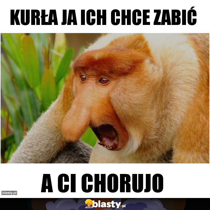 Kurła ja ich chce zabić Kurła ja ich chce zabić