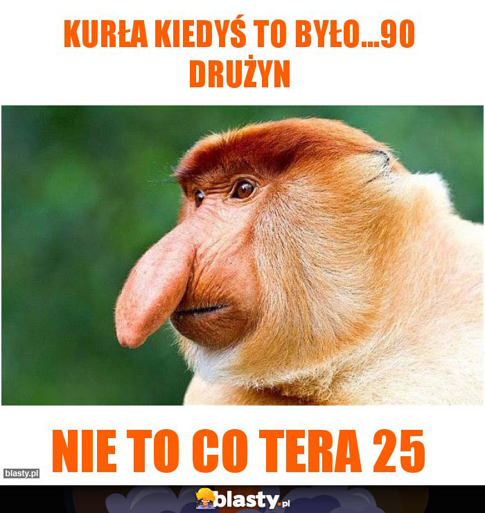 KURŁA KIEDYŚ TO BYŁO...90 DRUŻYN KURŁA KIEDYŚ TO BYŁO...90 DRUŻYN