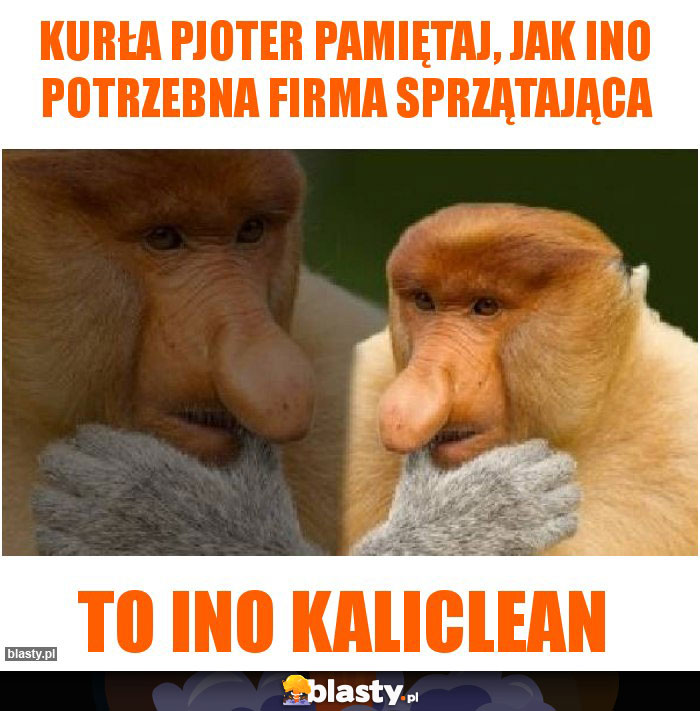 Kurła pjoter pamiętaj, jak ino potrzebna firma sprzątająca Kurła pjoter pamiętaj, jak ino potrzebna firma sprzątająca