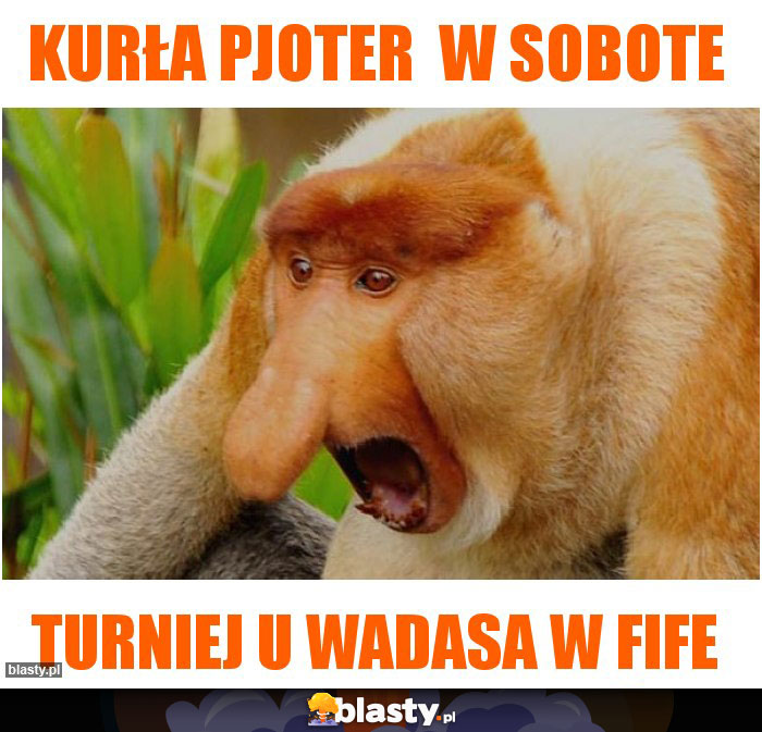 Kurła pjoter w sobote Kurła pjoter w sobote