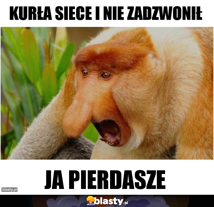Kurła siece i nie zadzwonił Kurła siece i nie zadzwonił