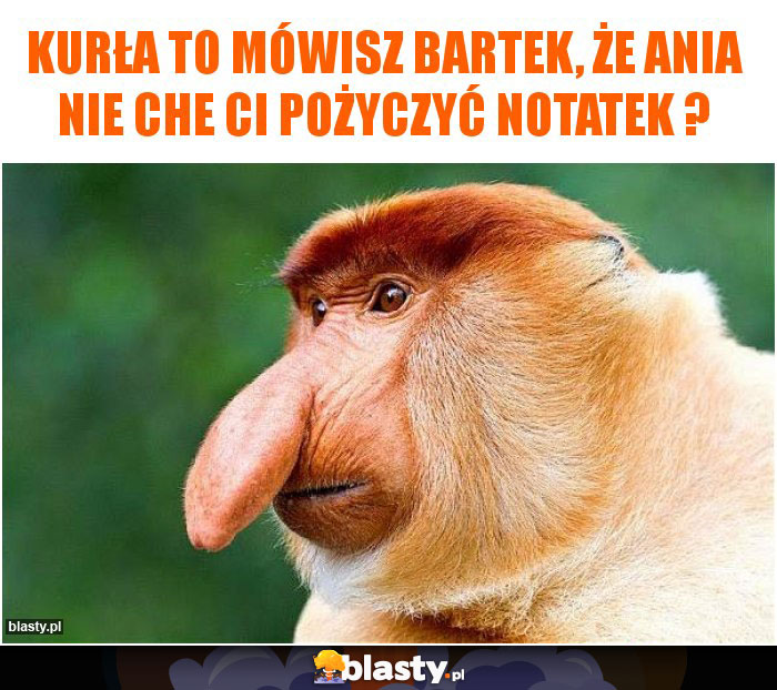 kurła to mówisz bartek, że ania nie che ci pożyczyć notatek ? kurła to mówisz bartek, że ania nie che ci pożyczyć notatek ?