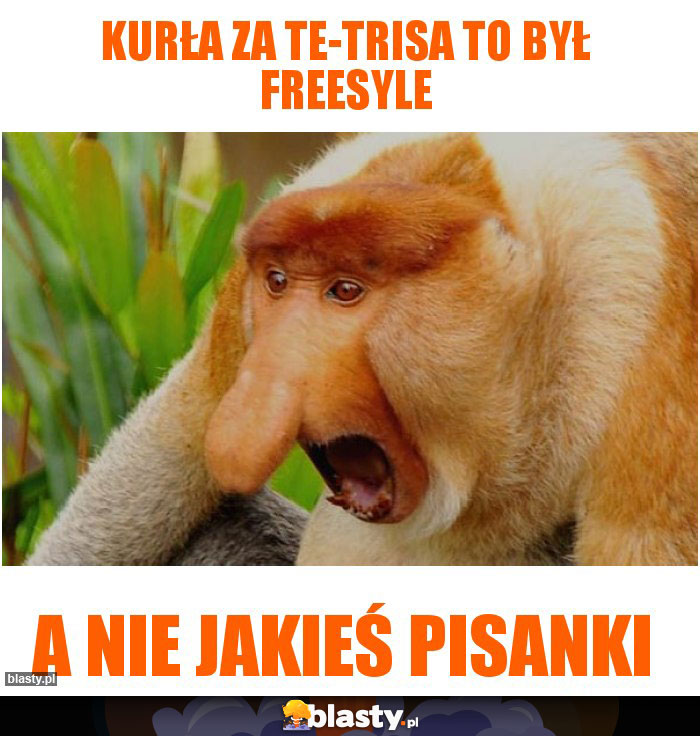 Kurła za Te-Trisa to był freesyle Kurła za Te-Trisa to był freesyle