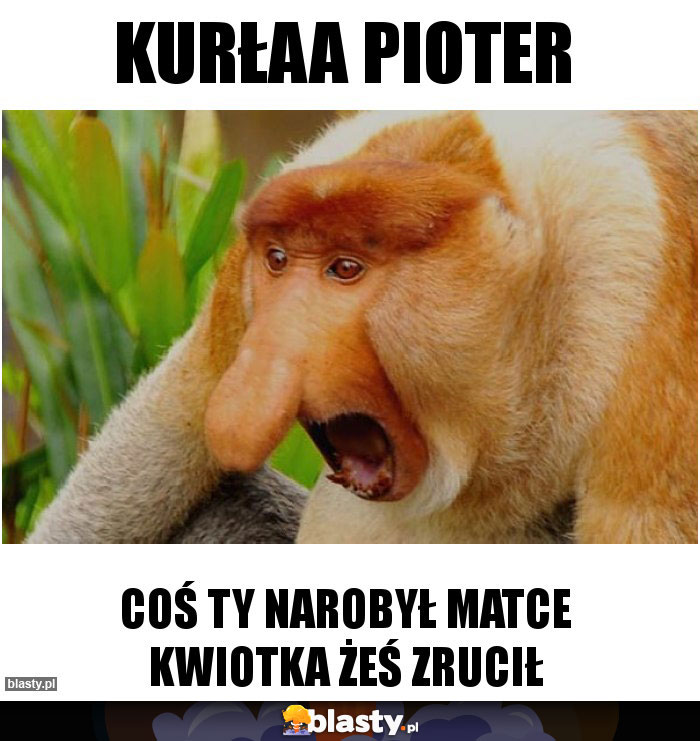 KURŁAA PIOTER KURŁAA PIOTER