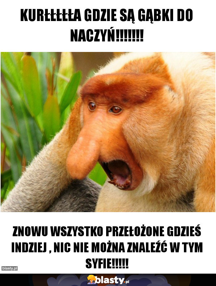 Kurłłłłła gdzie są gąbki do naczyń!!!!!!! Kurłłłłła gdzie są gąbki do naczyń!!!!!!!