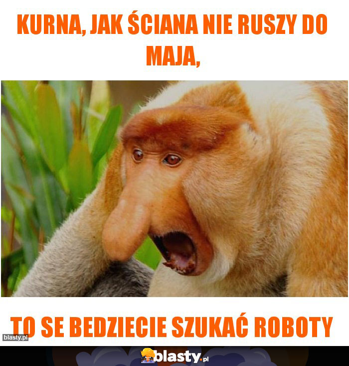 KURNA, JAK ŚCIANA NIE RUSZY DO MAJA, KURNA, JAK ŚCIANA NIE RUSZY DO MAJA,