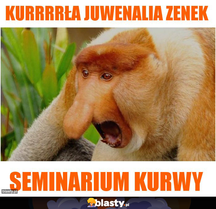 Kurrrrła juwenalia zenek Kurrrrła juwenalia zenek