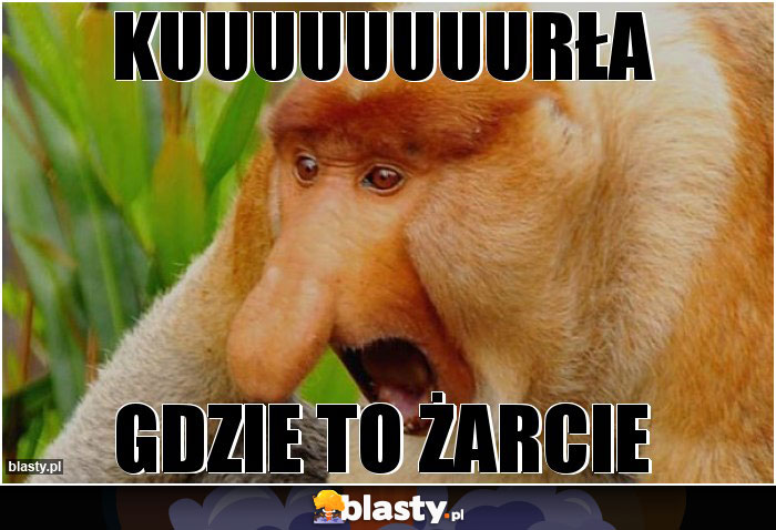 Kuuuuuuuurła