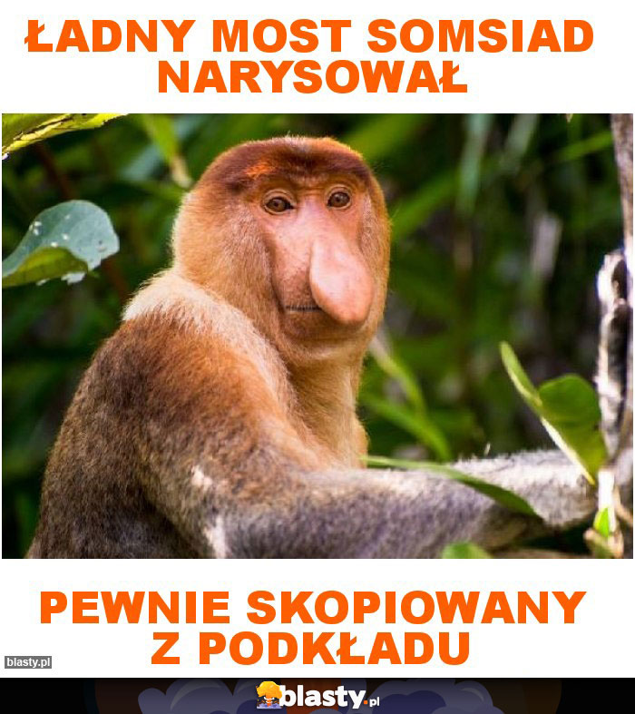 ŁADNY MOST SOMSIAD NARYSOWAŁ ŁADNY MOST SOMSIAD NARYSOWAŁ
