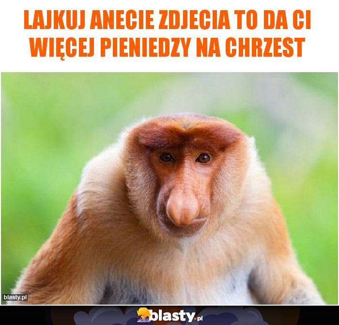 Lajkuj Anecie zdjecia to da ci więcej pieniedzy na chrzest Lajkuj Anecie zdjecia to da ci więcej pieniedzy na chrzest