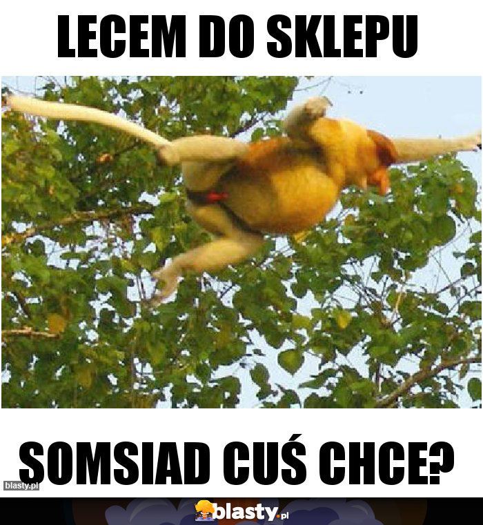 LECEM do sklepu LECEM do sklepu