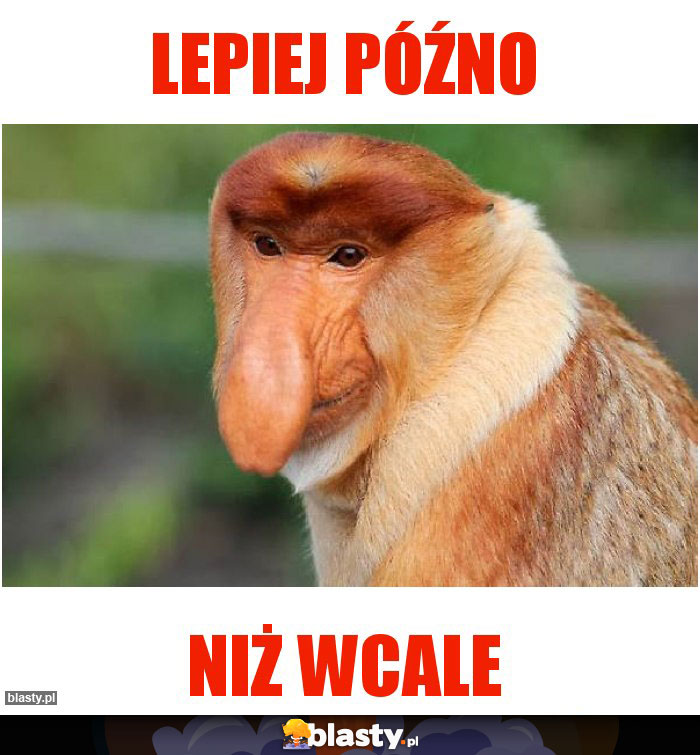 Lepiej późno Lepiej późno