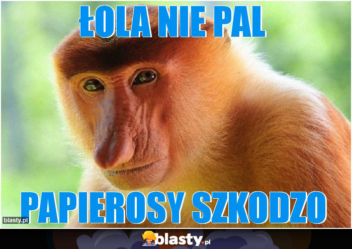Łola nie pal Łola nie pal