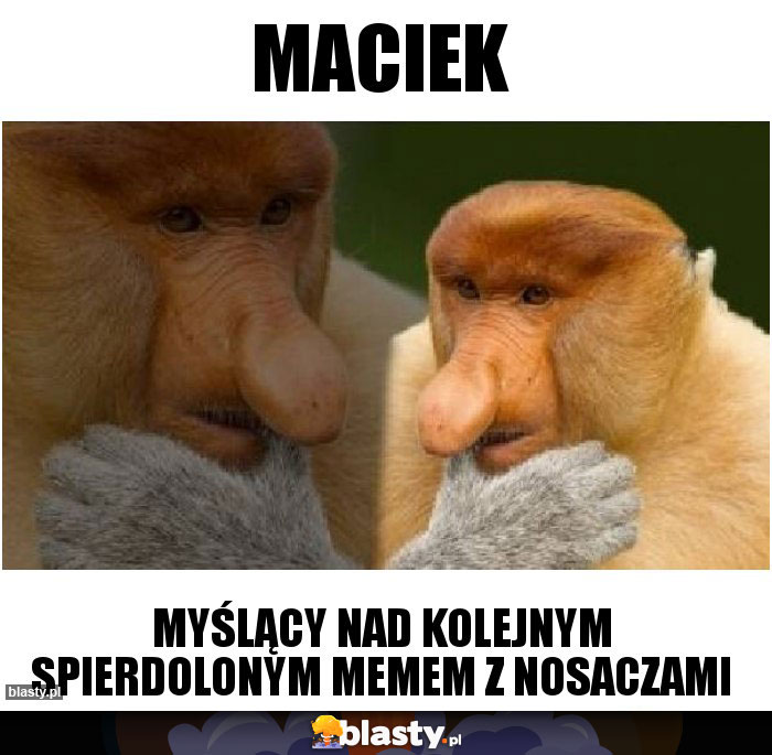 Maciek