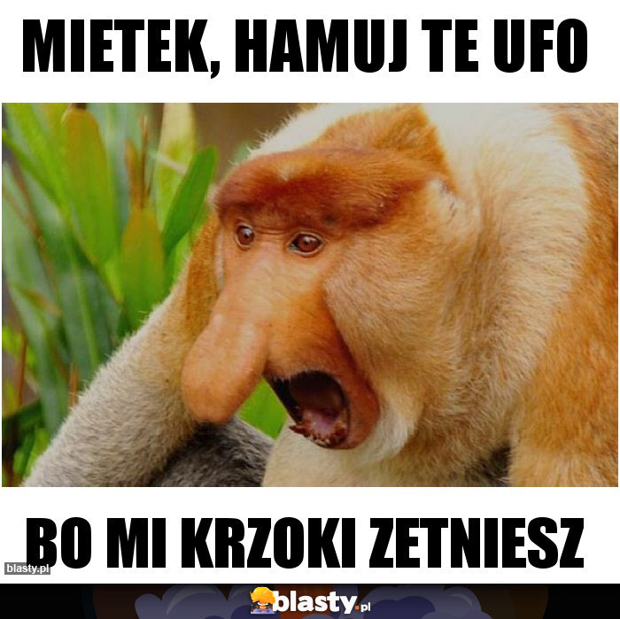 Mietek, hamuj te UFO Mietek, hamuj te UFO