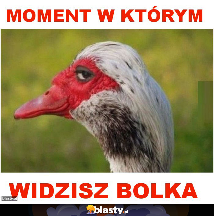 moment w którym moment w którym