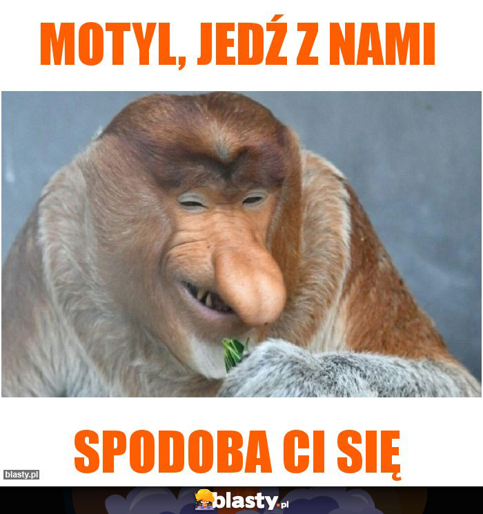 Motyl, jedź z nami