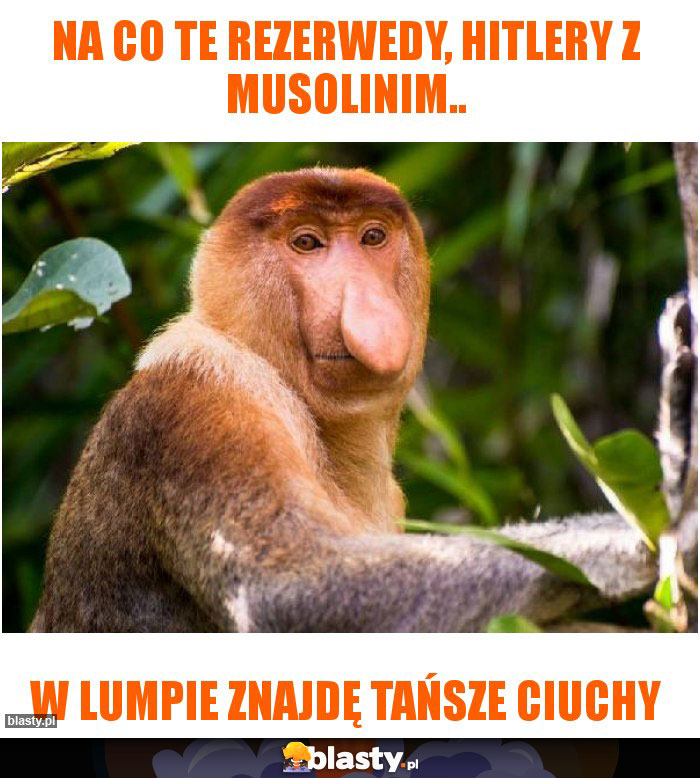 Na co te rezerwedy, Hitlery z musolinim.. Na co te rezerwedy, Hitlery z musolinim..