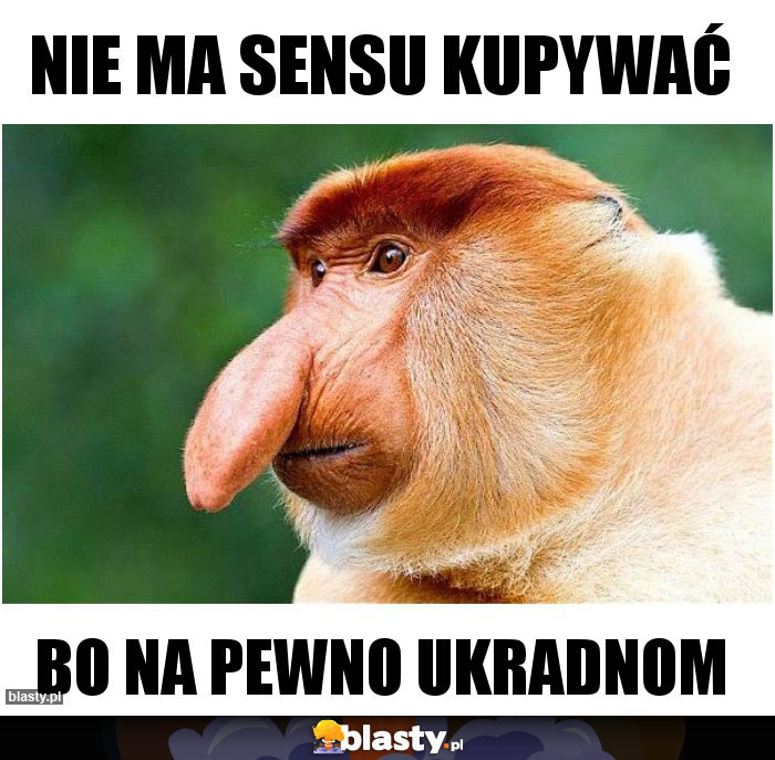 Nie ma sensu kupywać Nie ma sensu kupywać