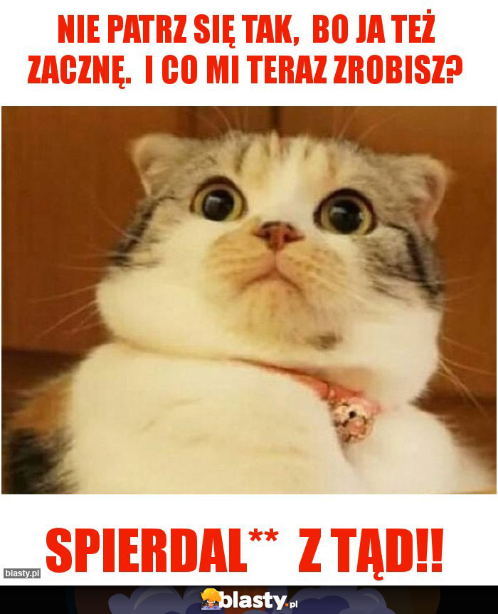 Nie patrz się tak, bo ja też zacznę. I co mi teraz zrobisz? Nie patrz się tak, bo ja też zacznę. I co mi teraz zrobisz?