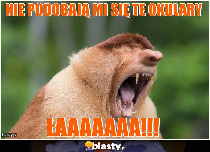 Nie podobają mi się te okulary Nie podobają mi się te okulary