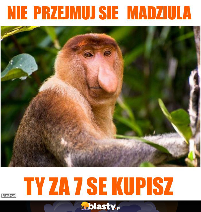 Nie przejmuj sie Madziula Nie przejmuj sie Madziula
