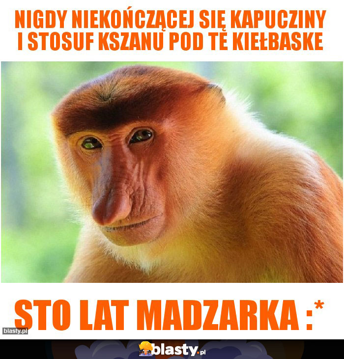 Nigdy niekończącej się kapucziny i stosuf kszanu pod te kiełbaske Nigdy niekończącej się kapucziny i stosuf kszanu pod te kiełbaske
