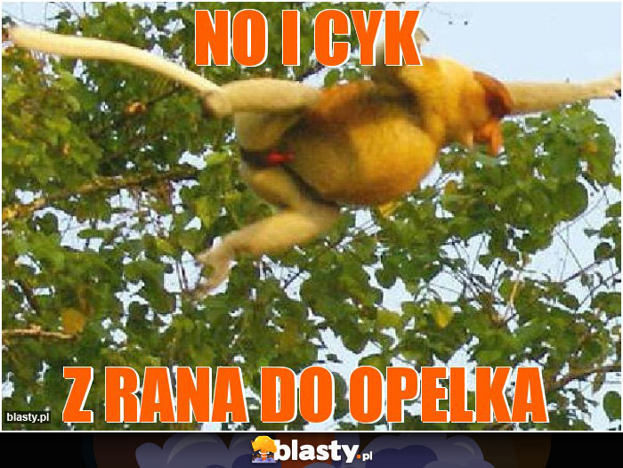 no i cyk