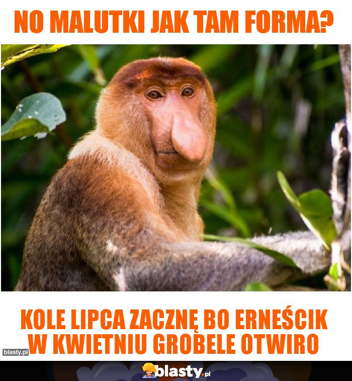 No malutki jak tam forma? No malutki jak tam forma?