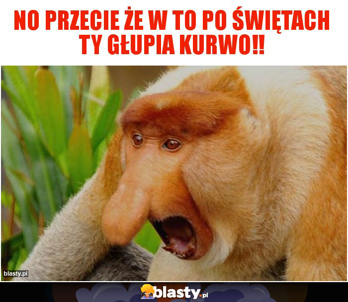 No przecie że w to po świętach ty głupia kurwo!! No przecie że w to po świętach ty głupia kurwo!!