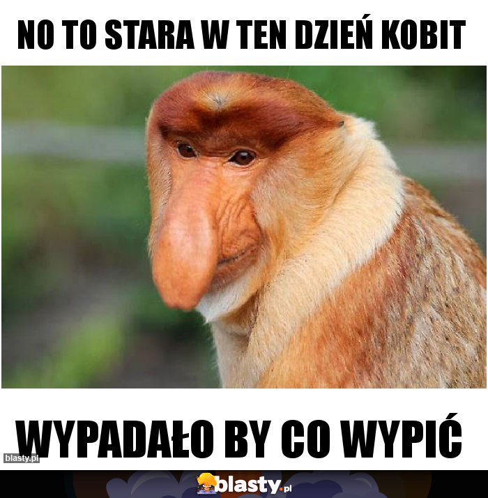 NO TO STARA W TEN DZIEŃ KOBIT NO TO STARA W TEN DZIEŃ KOBIT