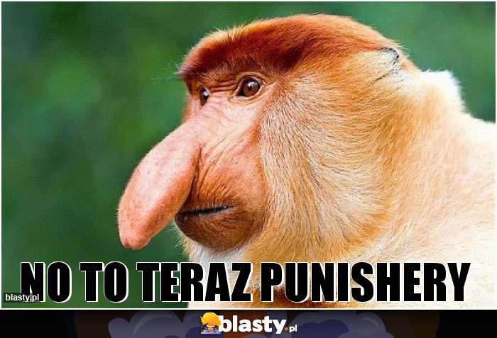 no to teraz punishery no to teraz punishery