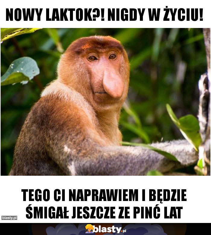 NOWY LAKTOK?! Nigdy w życiu! NOWY LAKTOK?! Nigdy w życiu!