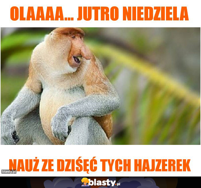 Olaaaa... jutro niedziela