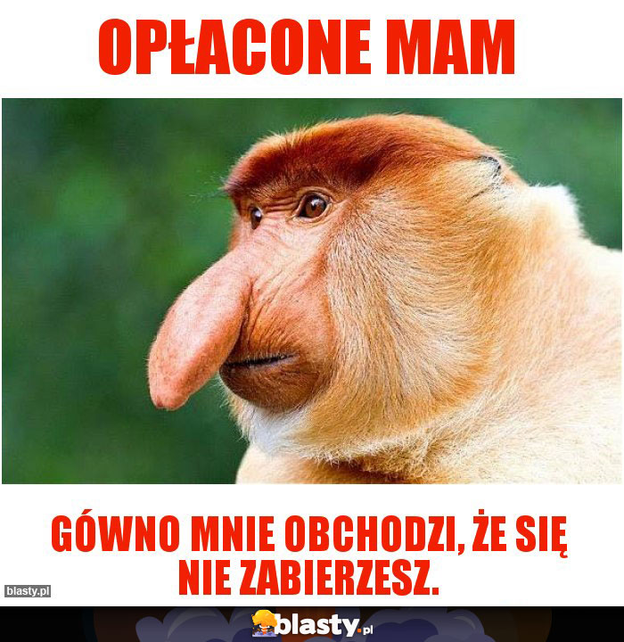 Opłacone mam Opłacone mam