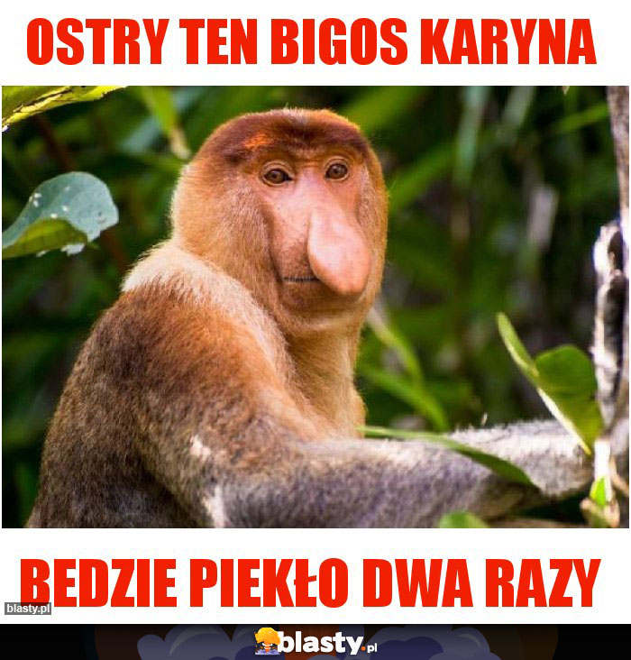 Ostry ten bigos Karyna Ostry ten bigos Karyna