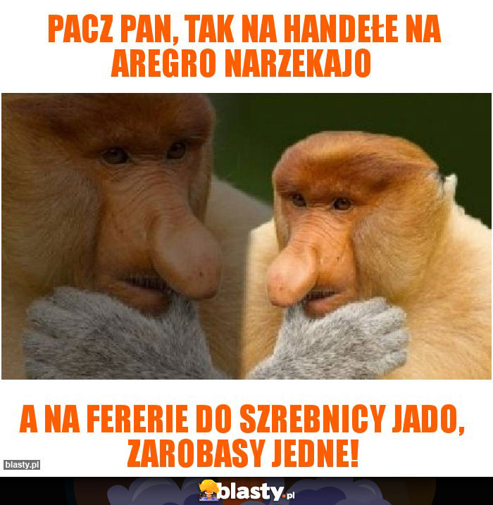 Pacz Pan, tak na handełe na aregro narzekajo Pacz Pan, tak na handełe na aregro narzekajo