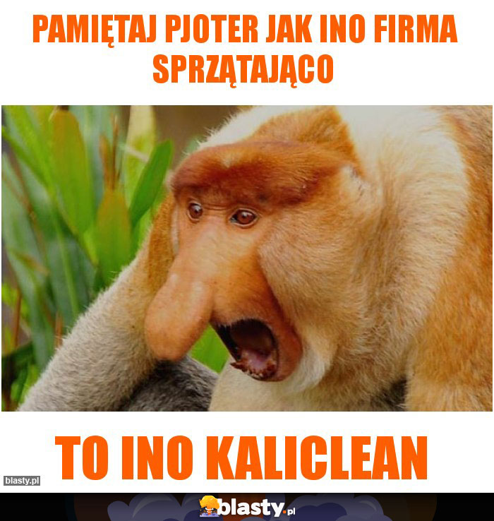 Pamiętaj Pjoter jak ino firma sprzątająco Pamiętaj Pjoter jak ino firma sprzątająco