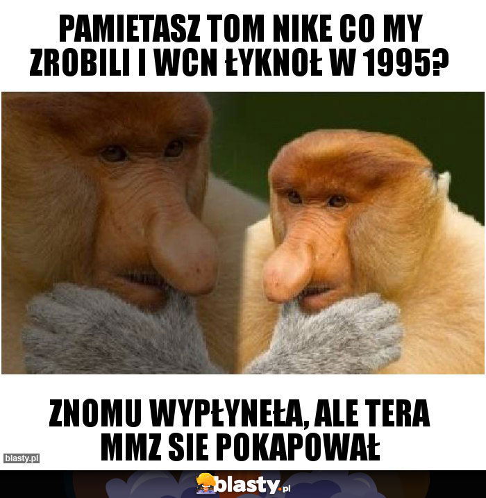 PAMIETASZ TOM NIKE CO MY ZROBILI I WCN ŁYKNOŁ W 1995? PAMIETASZ TOM NIKE CO MY ZROBILI I WCN ŁYKNOŁ W 1995?
