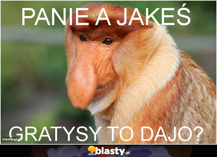 Panie a jakeś Panie a jakeś