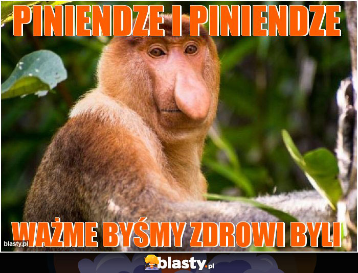 Piniendze i piniendze Piniendze i piniendze