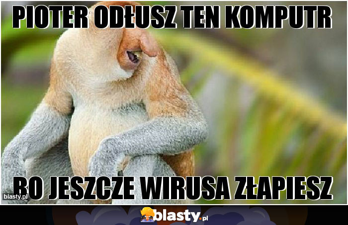 Pioter odłusz ten komputr Pioter odłusz ten komputr