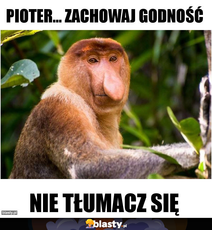 Pioter... zachowaj godność Pioter... zachowaj godność