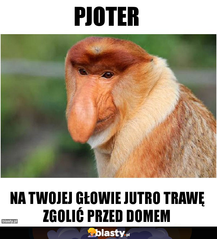 Pjoter