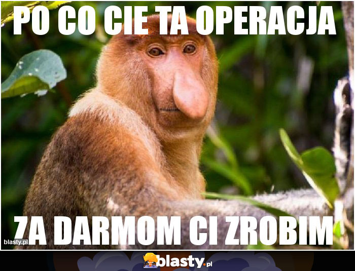 PO CO CIE TA OPERACJA PO CO CIE TA OPERACJA