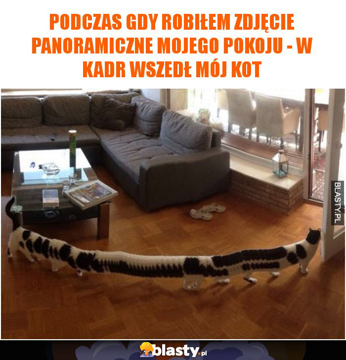 Podczas gdy robiłem zdjęcie panoramiczne mojego pokoju - w kadr wszedł mój kot