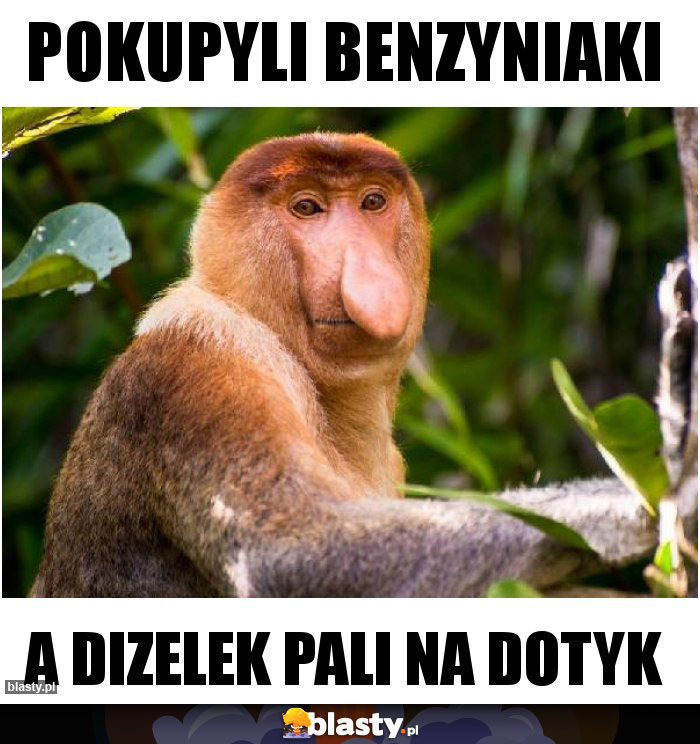 Pokupyli benzyniaki Pokupyli benzyniaki
